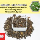 2 Lb / 908g Chaff-flower Prickly Chaff Flower Devil's Horsewhip Burweed Achyranthes Aspera