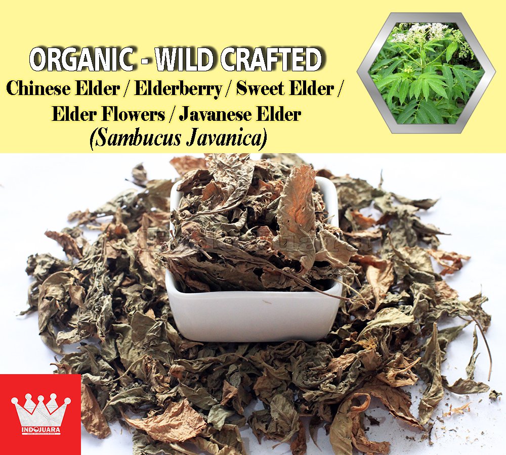 8 Oz / 227g Chinese Elder Leaves Elderberry Sweet Elder Javanese Elder