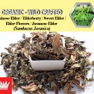 1 Lb / 454g Chinese Elder Leaves Elderberry Sweet Elder Javanese Elder Sambucus Javanica