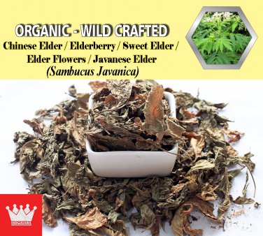 1 Lb / 454g Chinese Elder Leaves Elderberry Sweet Elder Javanese Elder Sambucus Javanica