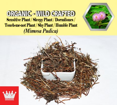 2 Lb / 908g Sensitive Plant Sleepy Plant Dormilones Touch-me-not Plant Mimosa Pudica Organic