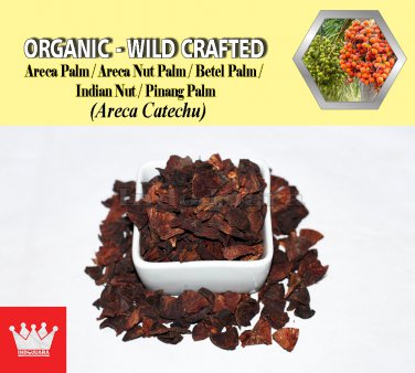 1 Lb / 454g BETEL NUTS Areca Palm Areca Nut Palm Betel Palm Pinang Palm Areca Catechu FRESH