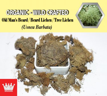 1 Lb / 454g Old Man's Beard Beard Lichen Tree Lichen Usnea Barbata Organic Wild Crafted