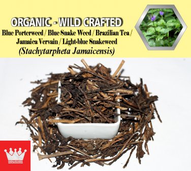 8 Oz / 227g Blue Porterweed Blue Snake Weed Jamaica Vervain Stachytarpheta Jamaicensis FRESH