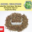 8 Oz / 227g Asthma Plant Garden Spurge Hairy Spurge Red Euphorbia Snakeweed Euphorbia Hirta