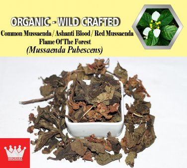 8 Oz / 227g Common Mussaenda Ashanti Blood Red Mussaenda Mussaenda Pubescens Organic Wild