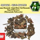 2 Lb / 908g Common Mussaenda Ashanti Blood Red Mussaenda Mussaenda Pubescens Organic Wild