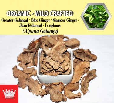 1 Lb / 454g Greater Galangal Siamese Ginger Java Galangal Alpinia Galanga Organic Wild Fresh