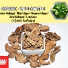 2 Lb / 908g Greater Galangal Siamese Ginger Java Galangal Alpinia Galanga Organic Wild Fresh