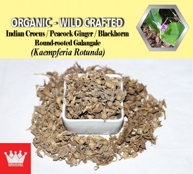 2 Lb / 908g Indian Crocus Peacock Ginger Round-rooted Galangale Blackhorm Kaempferia Rotunda