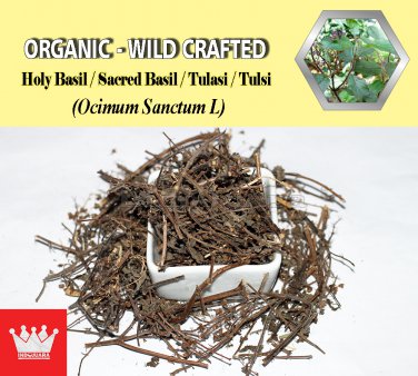 1 Lb / 454g Holy Basil Sacred Basil Tulasi Tulsi Ocimum Sanctum Organic Wild Crafted Fresh
