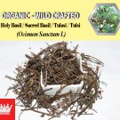2 Lb / 908g Holy Basil Sacred Basil Tulasi Tulsi Ocimum Sanctum Organic Wild Crafted Fresh