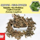 2 Lb / 908g Madamfate Star of Bethlehem Longflower Laurentia Isotoma Longiflora Organic Wild