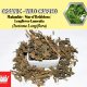 Dried Herbs