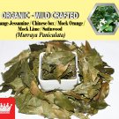 1 Lb / 454g Orange Jessamine Chinese Box Mock Orange Murraya Paniculata Organic Wild Crafted