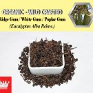 3 Oz / 84g Ridge Gum Fruits White Gum Poplar Gum Eucalyptus Alba Organic Wild Crafted Fresh