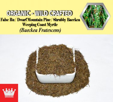 3 Oz / 84g False Ru Pine Shrubby Baeckea Dwarf Mountain Baeckea Frutescens Organic Wild