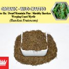 2 Lb / 908g False Ru Pine Shrubby Baeckea Dwarf Mountain Baeckea Frutescens Organic Wild