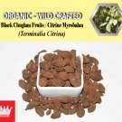 3 Oz / 84g Black Chuglam Fruits Citrine Myrobalan Terminalia Citrina Organic Wild Crafted