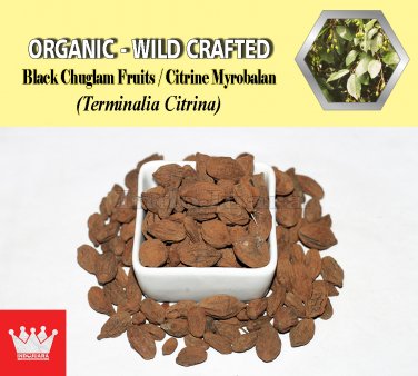 3 Oz / 84g Black Chuglam Fruits Citrine Myrobalan Terminalia Citrina Organic Wild Crafted