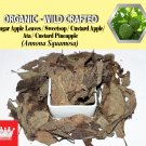 2 Lb / 908g Sugar Apple Leaves Sweetsop Custard Apple Ata Annona Squamosa Organic Wild Fresh
