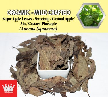 2 Lb / 908g Sugar Apple Leaves Sweetsop Custard Apple Ata Annona Squamosa Organic Wild Fresh