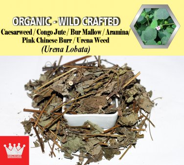 8 Oz / 227g Caesarweed Congo Jute Bur Mallow Aramina Urena Weed Urena Lobata Organic Wild