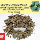 2 Lb / 908g Caesarweed Congo Jute Bur Mallow Aramina Urena Weed Urena Lobata Organic Wild