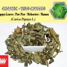 8 Oz / 227g Caesarweed Congo Jute Bur Mallow Aramina Urena Weed Urena Lobata Organic Wild