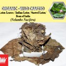 3 Oz / 84g Lotus Leaves Indian Lotus Sacred Lotus Nelumbo Nucifera Organic Wild Crafted