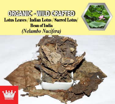 3 Oz / 84g Lotus Leaves Indian Lotus Sacred Lotus Nelumbo Nucifera Organic Wild Crafted