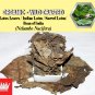 2 Lb / 908g Lotus Leaves Indian Lotus Sacred Lotus Nelumbo Nucifera Organic Wild Crafted