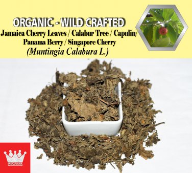 2 Lb / 908g Jamaica Cherry Leaves Kerson Capulin Panama Berry Muntingia Calabura Wild Crafted