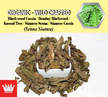 2 Lb / 908g Kassod Tree Leaves Siamese Senna Siamese Cassia Cassia Siamea Organic Wild Fresh