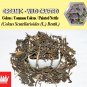 3 Oz / 84g Coleus Common Coleus Painted Nettle Coleus Scutellarioides Organic Wild Crafted