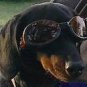 Dog Sunglasses DOGGLES ILS with Flames Size Small