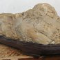 suiseki-viewing stone-stone crafts-Yellow Wax stone