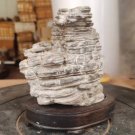 suiseki-viewing stone-stone crafts-Qian Ceng stone