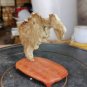 suiseki-viewing stone-stone crafts-Ge Bi stone