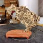 suiseki-viewing stone-stone crafts-Ge Bi stone