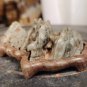 suiseki-viewing stone-stone crafts-Cai Tao stone