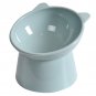 Tilted Cat Food Bowl Elevated Cat Bowl Ergonomic Cat Food Dish anti Vomiting Rai