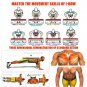 Portable Multifunctional Push-Up Board Set with Handles Foldable Fitness Equipme