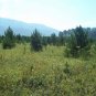 0,8 Hectar of land in the Altai mountains