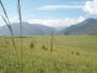 Russia Property