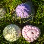 Lavender & Organic Rose Petals Bath Salts (Fizzies) & Gardenia Body Bar Trio