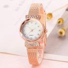 Full Diamond Ladies Mesh Belt Quartz Watch