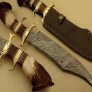Damascus Hunting Knife with Stag Handle