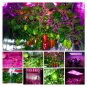 LED Plant Grow Lamp 1000W Full Spectrum for Home and Garden
