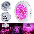 LED Plant Grow Lamp 200W Full Spectrum for Home and Garden